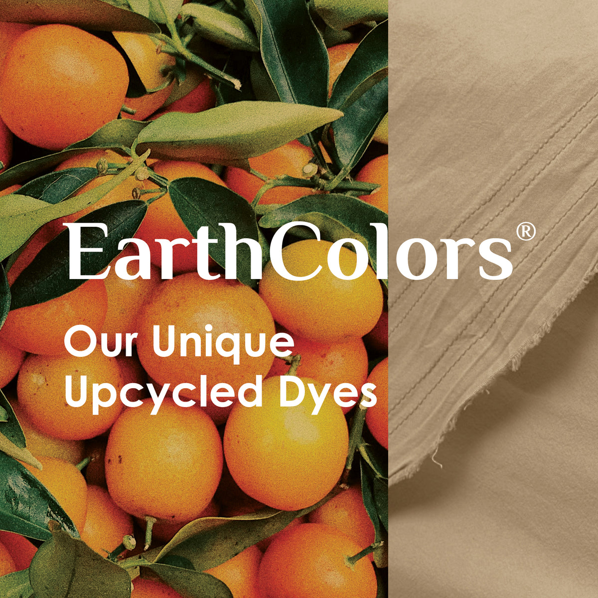Image of oranges beside Ochre fabric with the caption: EarthColors® Our Unique Upcycled Dyes