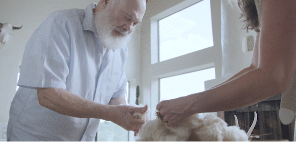 Video of Dr. Andrew Weil feeling the texture of Kapok fibers