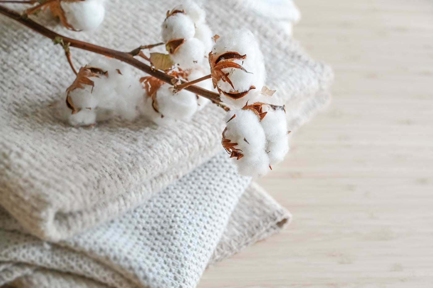 Close-up image of cotton on top of folded fabric