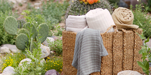 Image of a basket with a Heritage Quilt, Ochre Wave Coverlet, Ecru Ridgeback Coverlet, and Agave Ridgeback Coverlet. The basket is surrounded by greenery and cacti out in nature.
