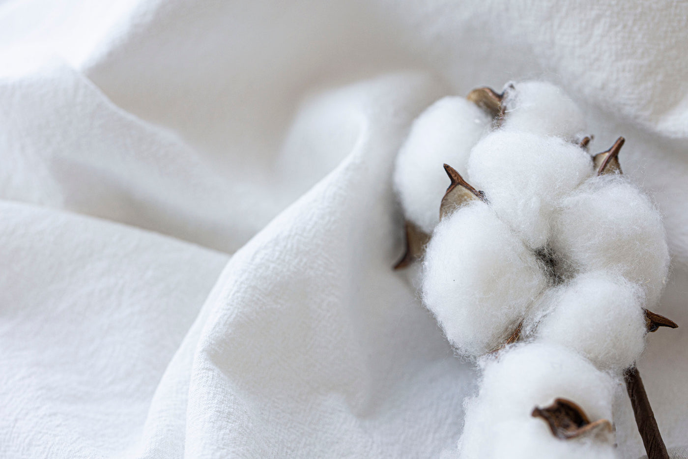 Image of white fabric with a cotton sprig laying on it