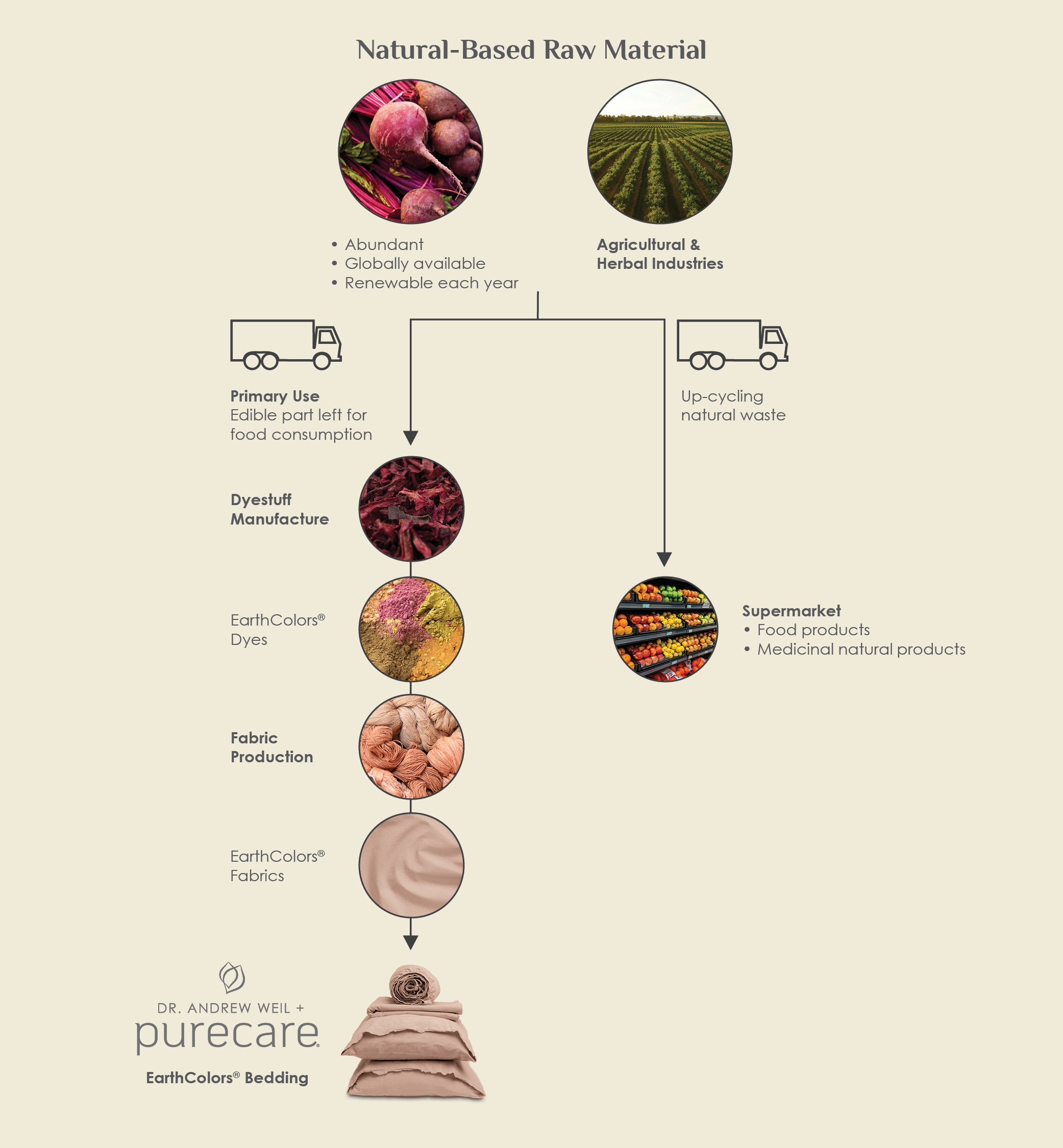 Infographic showing the process of EarthColors® Dyes