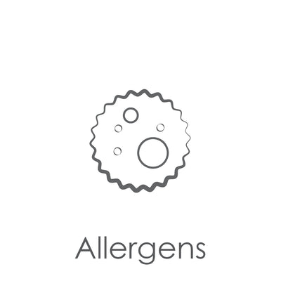 Gray icon of a dust particle with the caption Allergens