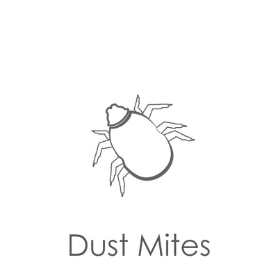 Gray icon of a bug with the caption Dust Mites