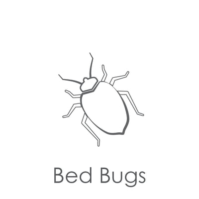 Gray icon of a bug with the caption Bed Bugs
