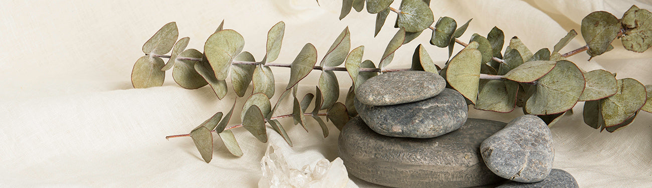 Image of Eucalyptus leaves by rocks on a white fabric
