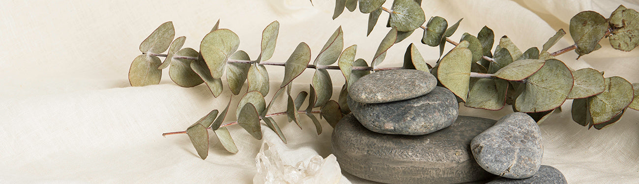 Image of Eucalyptus leaves by rocks on a white fabric 