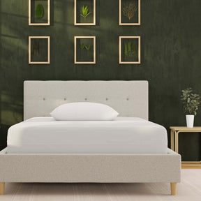 Image of a cream-colored bed with just a mattress protector and pillow with pillow protector on the bed. The bed is in a dark green room with photos of leaves on the wall and a small potted plant on the nightstand. 