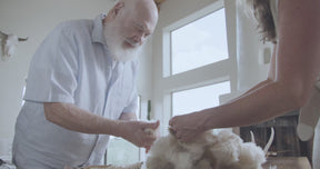 Video showcasing Dr. Andrew Weil holding and feeling the texture of kapok fibers while a woman breaks off more from a large pile and hands it to him