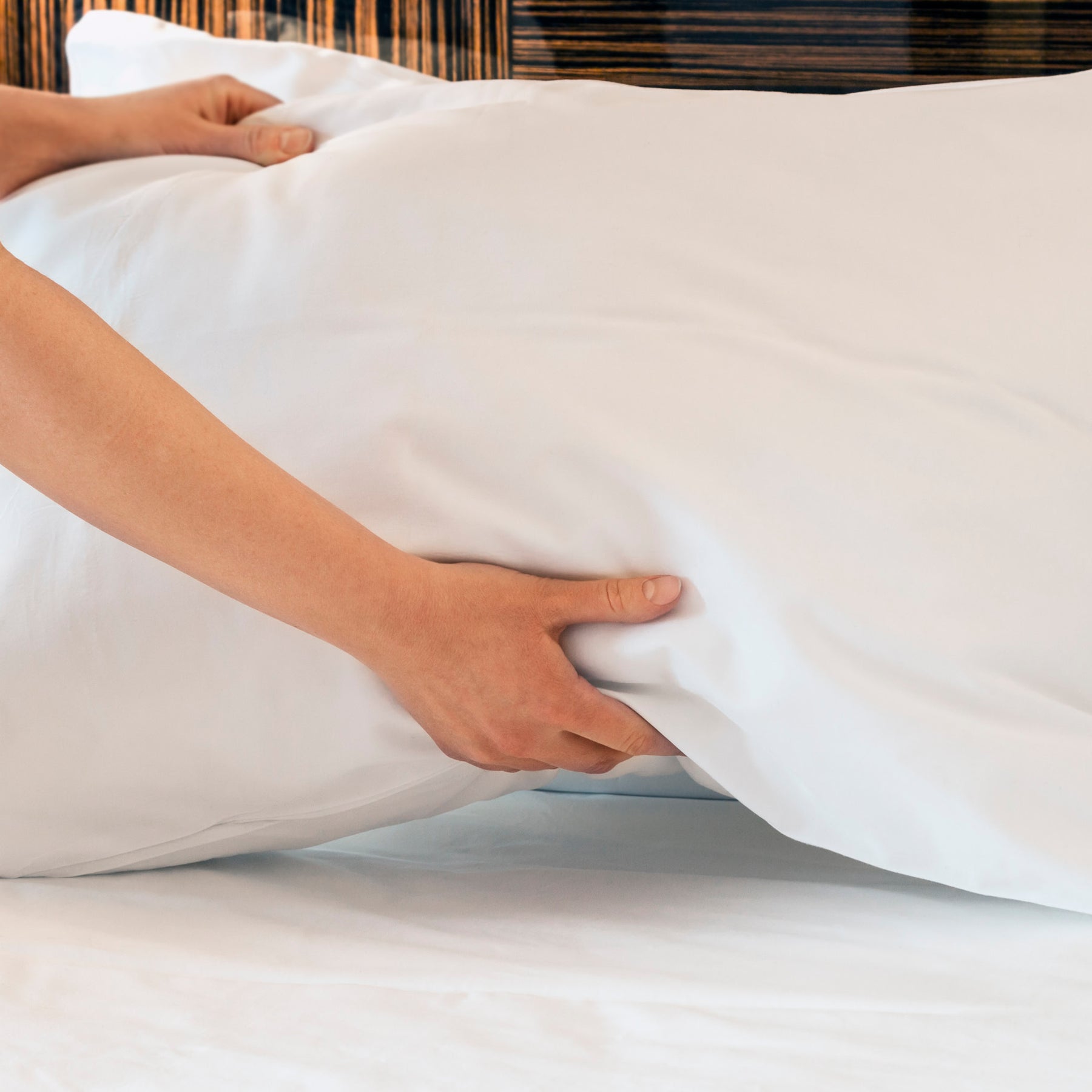 Image of two hands setting down a pillow on a bed