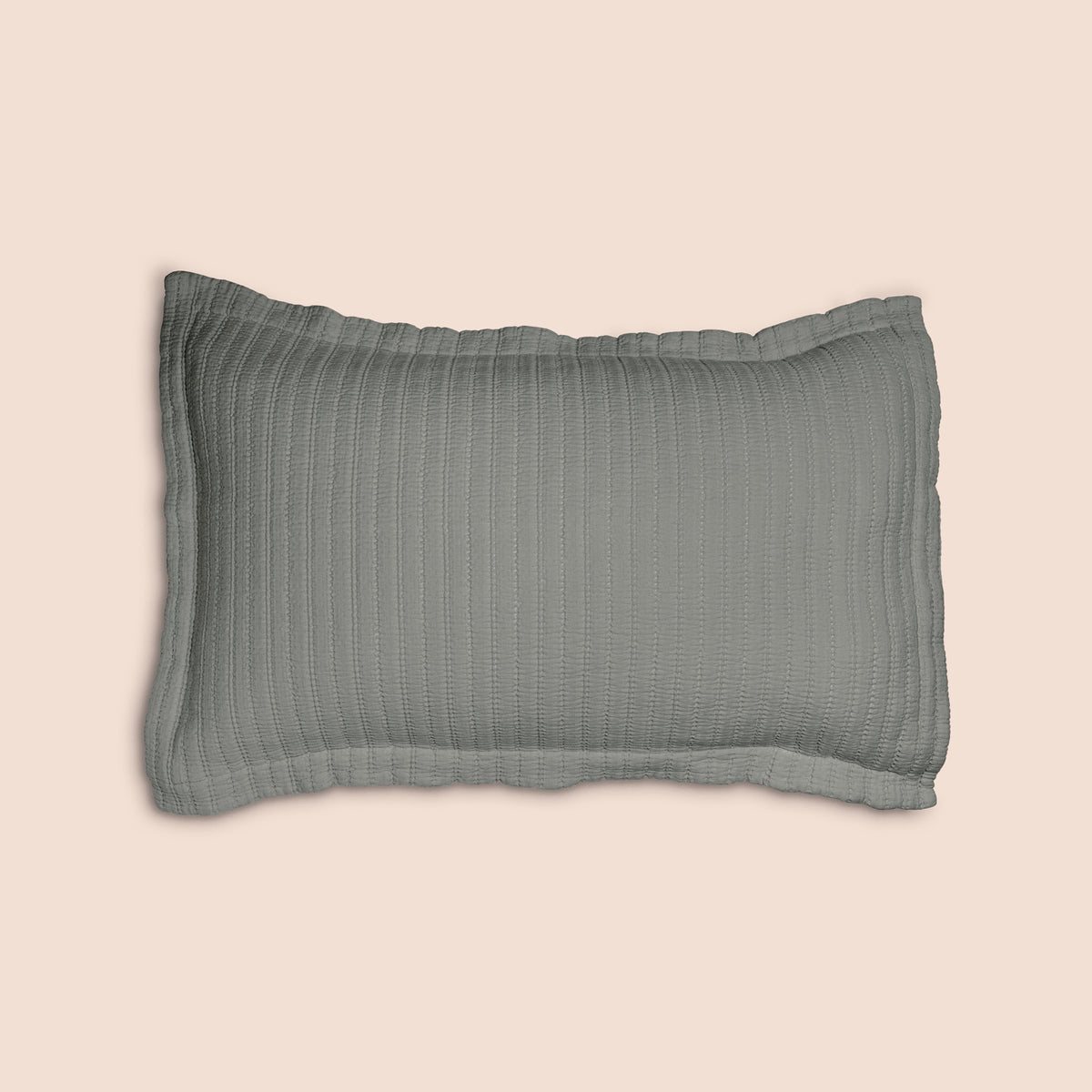 Image of the Agave Ridgeback Pillow Sham featured on a pillow with a light pink background