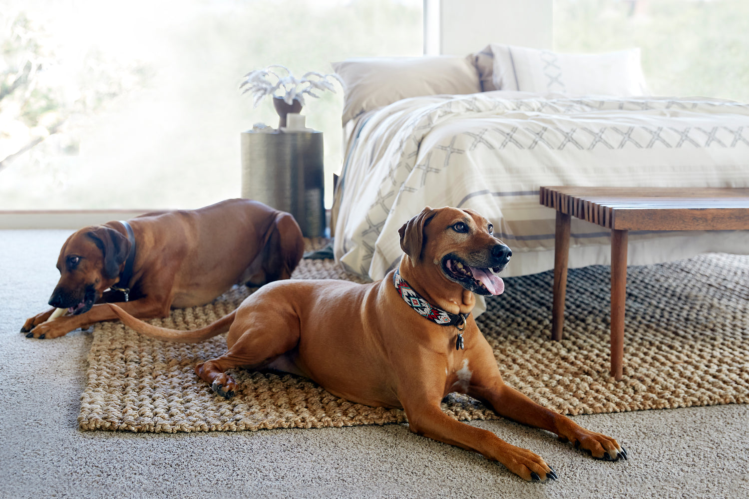 The Simple 2-Step Way to Get Pee Stains Out of a Mattress
