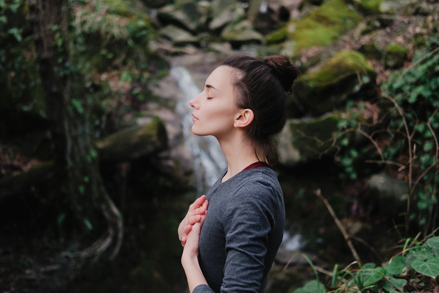 Forest Bathing for Mind-Body Wellness