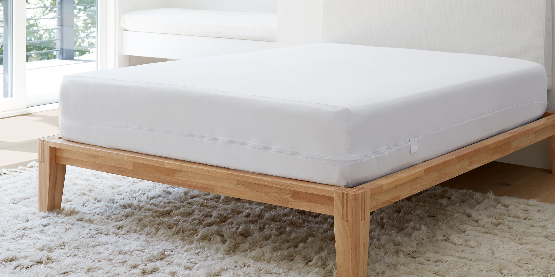 Bedbug
