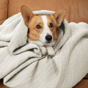 Dr. Weil Ridgeback Coverlet