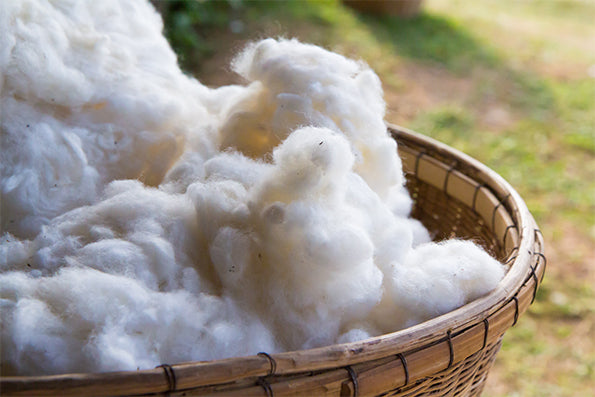 Image of a basket filled with cotton in an outdoor setting