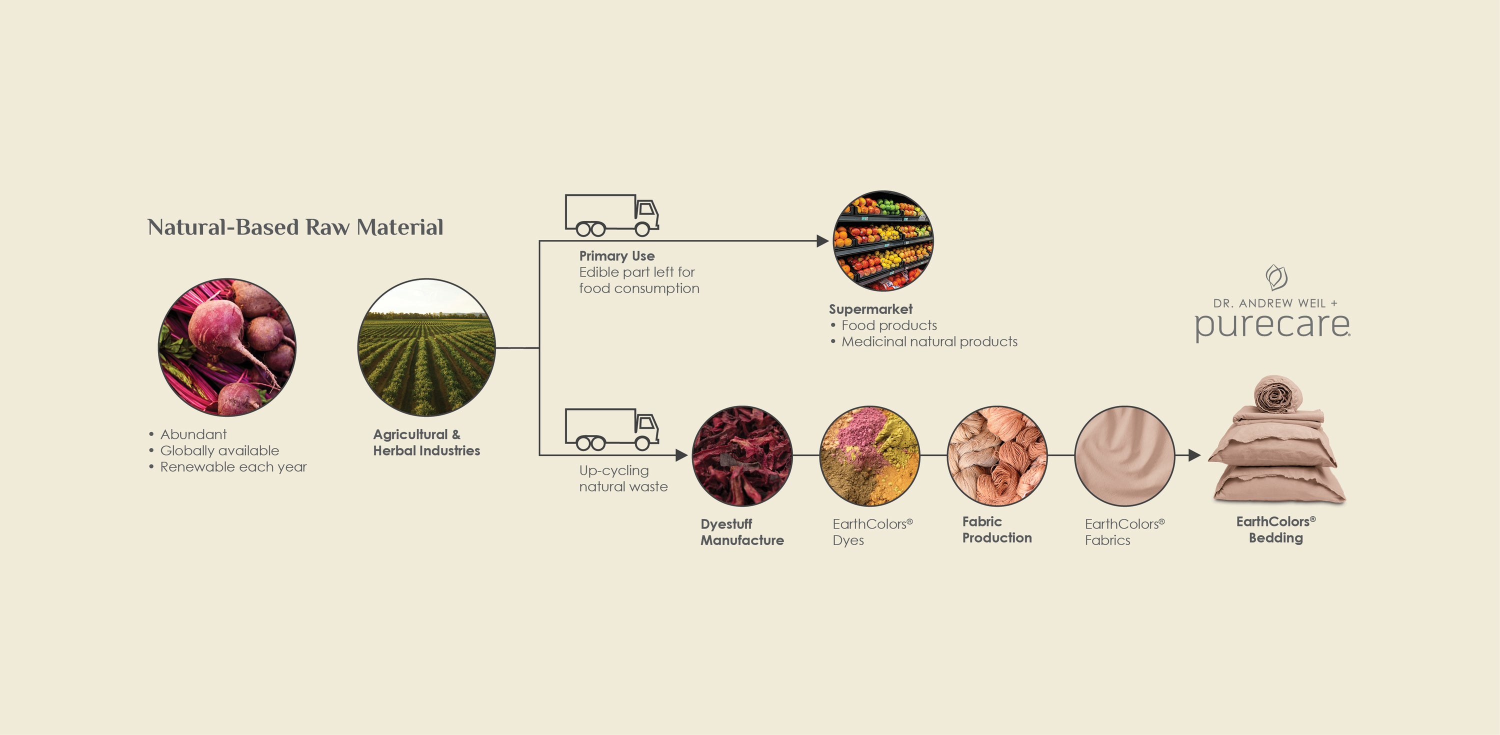 Infographic showing the process of EarthColors® Dyes