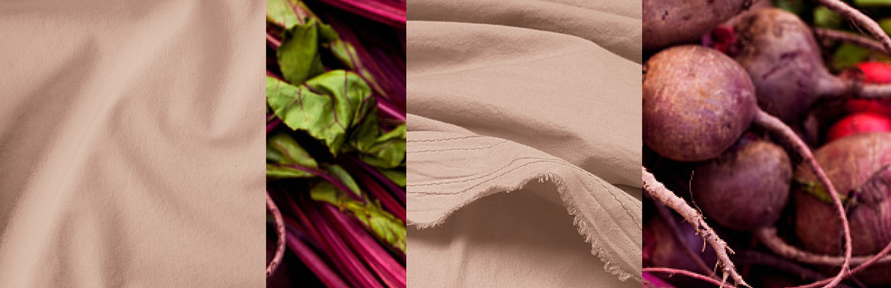 Images of beets and Pink Sandstone fabric