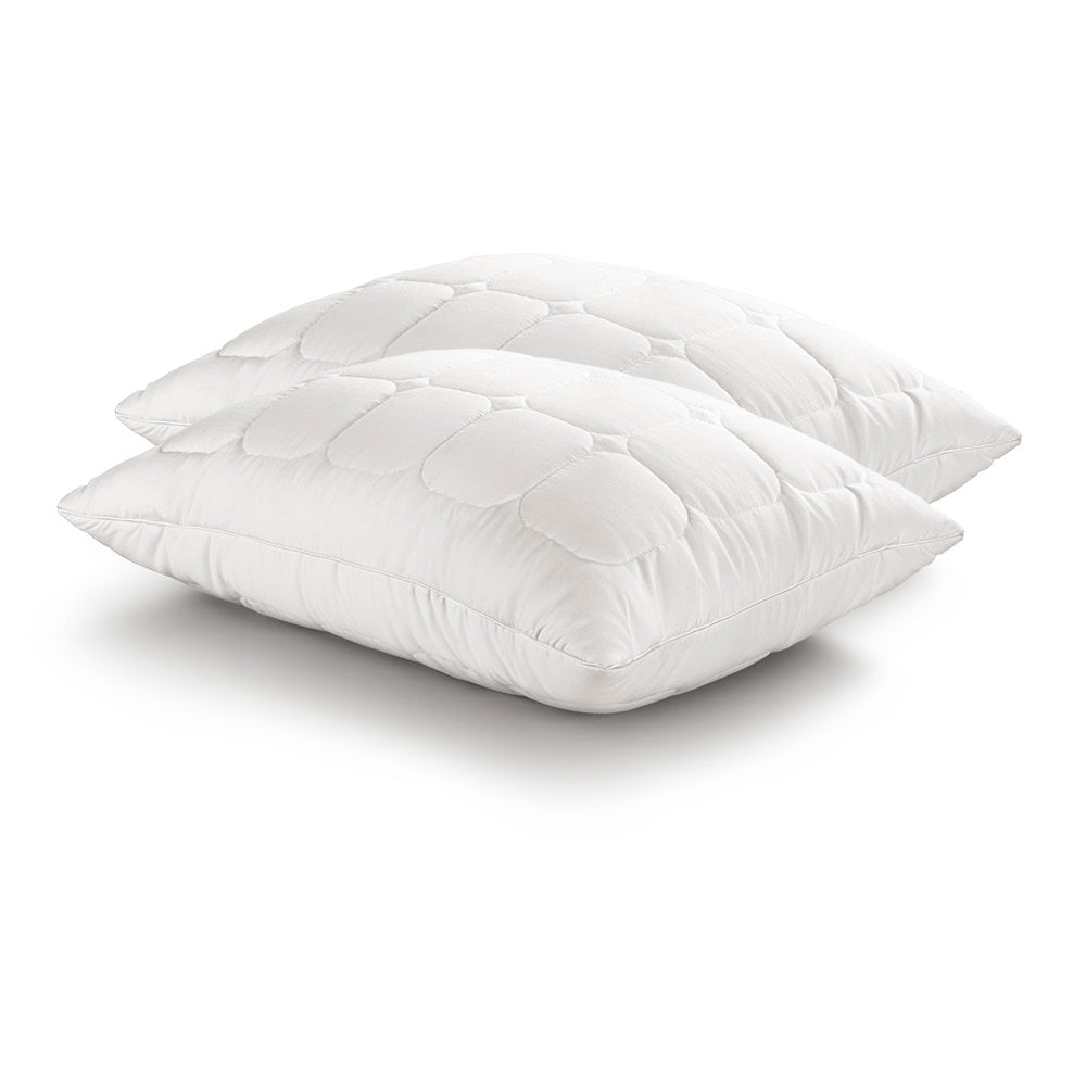 Image of two Prima Plush Pillows on a white background