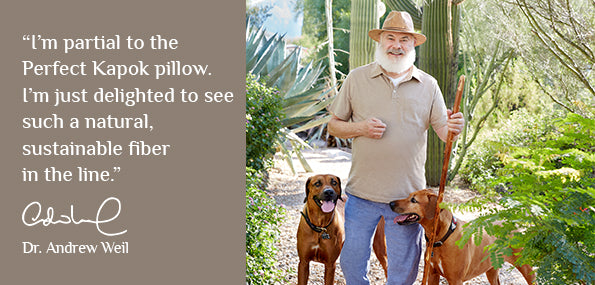 Image of Dr. Andrew Weil standing outside with two Rhodesian Ridgeback dogs and a caption to the left that reads: "I'm partial to the Perfect Kapok pillow. I'm just delighted to see such a natural, sustainable fiber in the line." -Dr. Andrew Weil